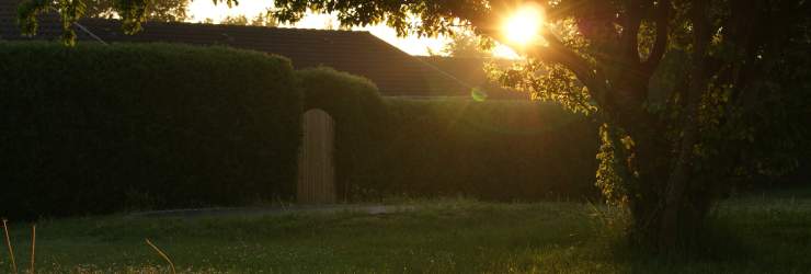 Voeg stijl en gezelligheid toe aan je tuin met een buiten vloerkleed!